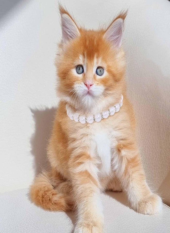 Campsis 2 Pack Rhinestone Cat Necklace Collar Pearl Cat Collars with Extension Chain Kitten Necklace Collar for Girl Cats (M=9.8-12.6inch) - Image 2